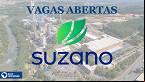 São mais de 65 vagas na Suzano celulose; veja as oportunidades para 2023